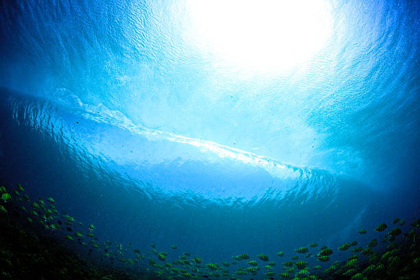 istock Underwater view of wave with tropical fish 500997972