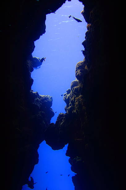 istock Terrain of Miyakojima 500998776