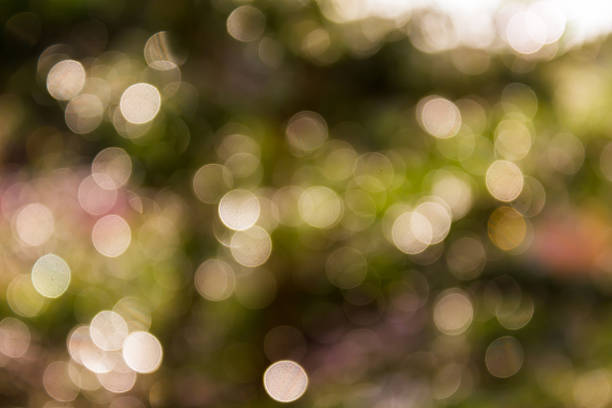 istock Fresh soft green colour bokeh bush tree and sunlight 500999532
