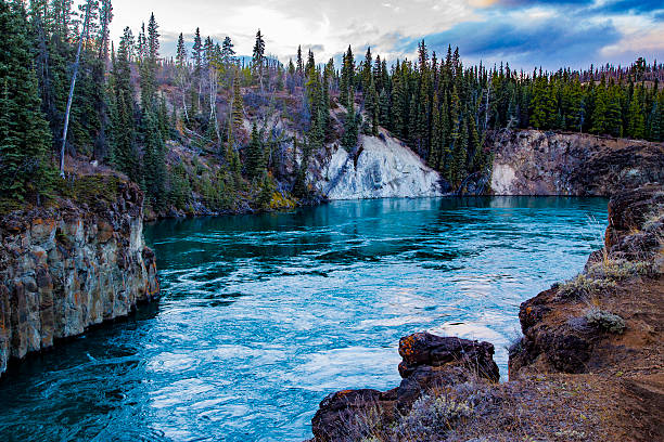 millas de canyon - yukon fotografías e imágenes de stock