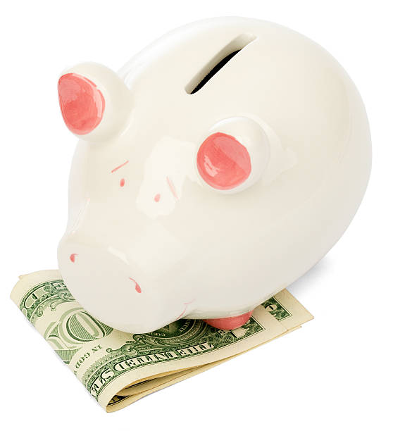 istock Piggy bank with dollars on white 501002100