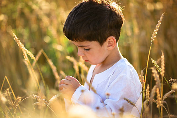 istock child in a field of wheat 501004534