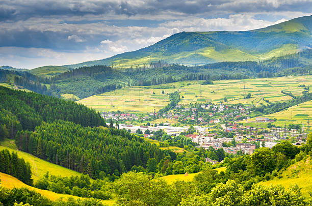 istock Mountain village in the Carpathians 501023763