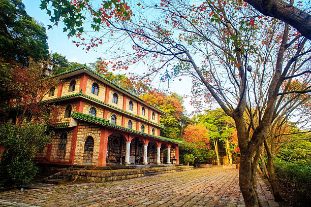istock the fall season of Taiwan 501023819