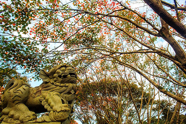 the fall season of Japan in Taiwan