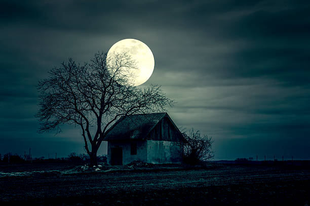 istock Spooky scene of haunted house and moon 501024079
