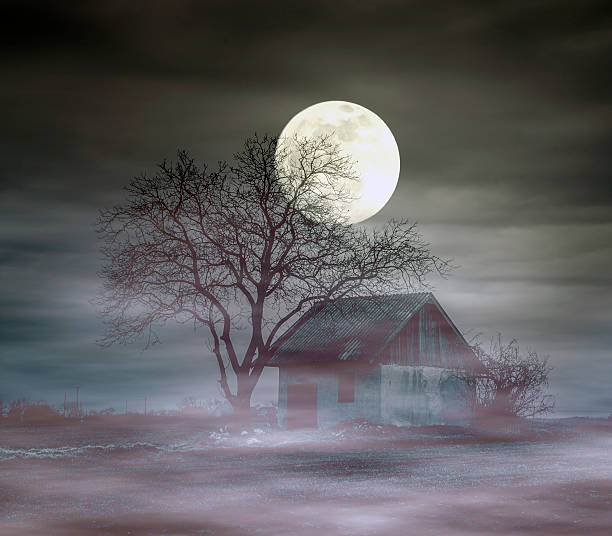 istock Spooky scene of haunted house and moon 501024147
