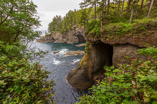 istock Cape Flattery in Olympic National Park 501024633