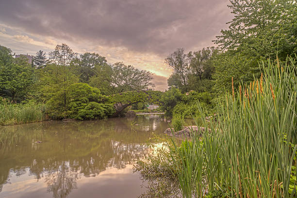 istock Gapstow bridge Central Park, New York City 501025193