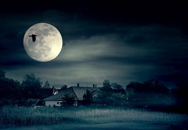 istock Foggy night and moonrise over farmland 501028647