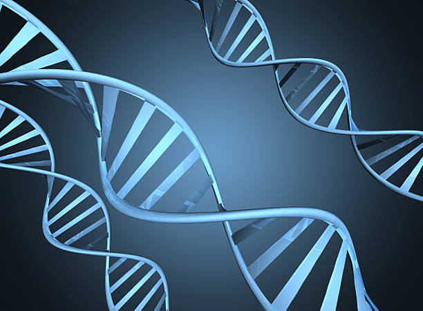 istock Genetics concept depicting magnified double helix DNA strands 501030139