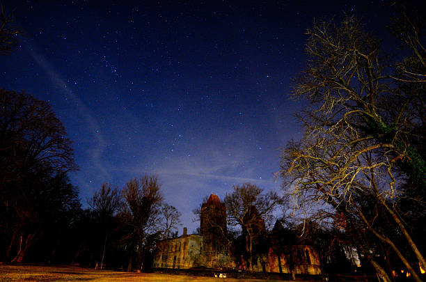 istock castle in forest and stars 501030534