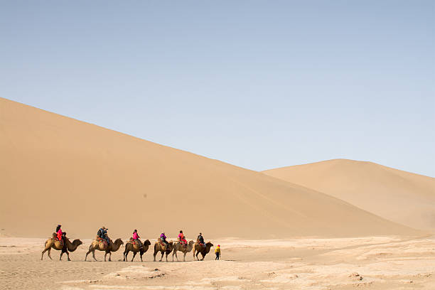 キャメルの caravan を通過し、砂丘 - gobi desert ストックフォトと画像