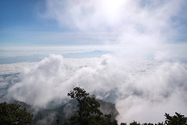 istock Landscape seen from Doi Luang Chiang Dao. 501031970