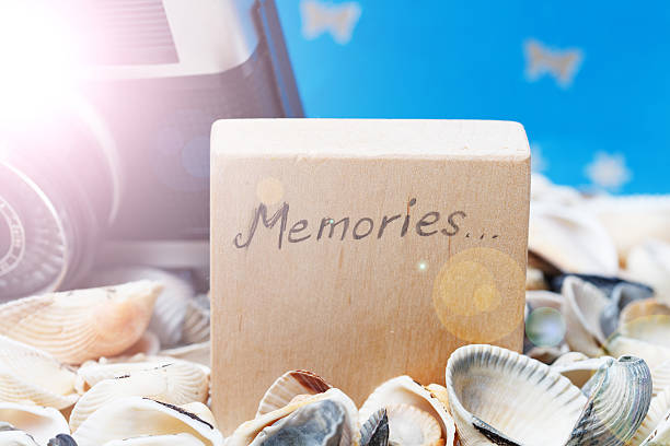 istock Memories message on the beach - vacation and travel concept 501033558