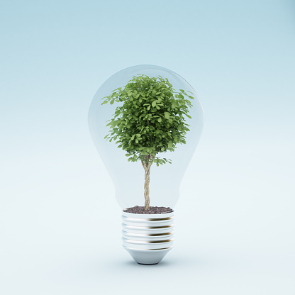 Light bulb with plant on blue background