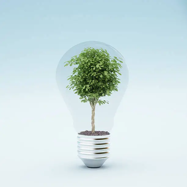 Photo of Light bulb with plant