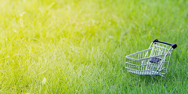 istock Healthy Grocery Shopping 501036378