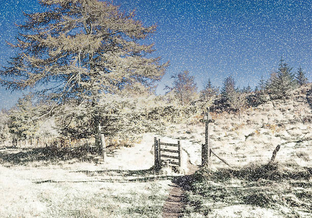 walking in the snow. Out walking in shropshire in the snow. ludlow shropshire stock pictures, royalty-free photos & images