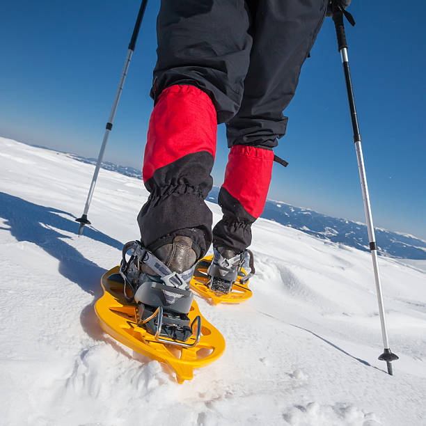 istock Hiker snowshoeing in winter mountains during sunny day 501040310