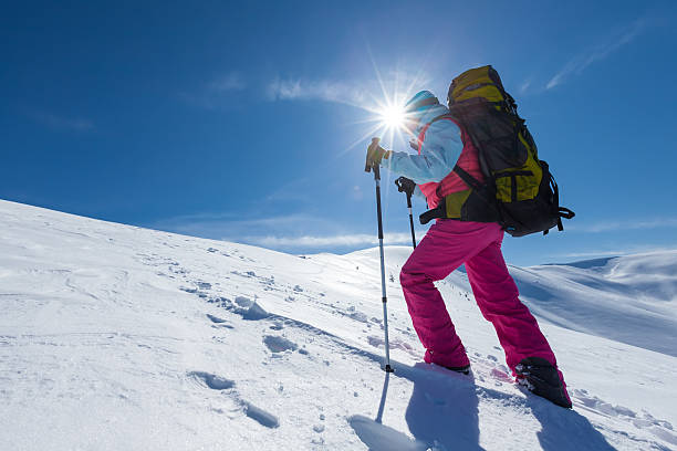istock Hiker in winter mountains during sunny day 501040336