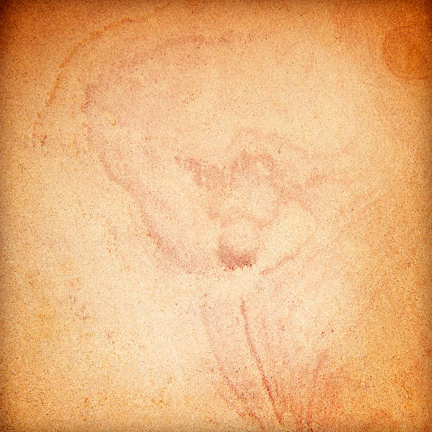 istock Details of sandstone texture background 501040631