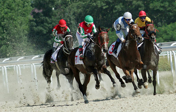 istock Horse racing in Pyatigorsk. 501041366