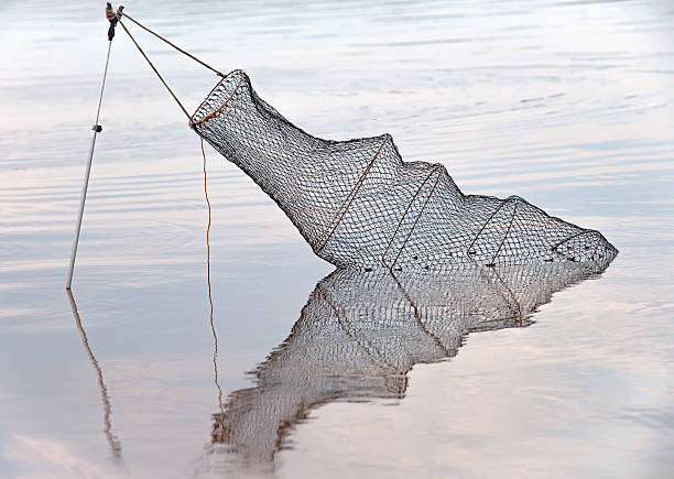 Basket for storage cage fish caught in water