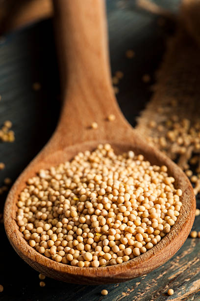 istock Raw Organic Mustard Seeds 501043515