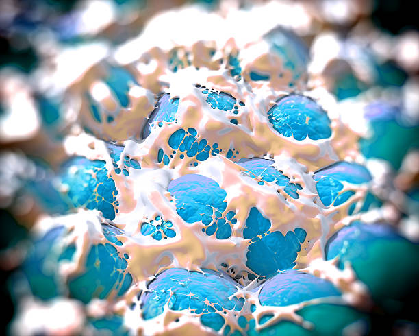 Fat cells or adipose tissue showing fat