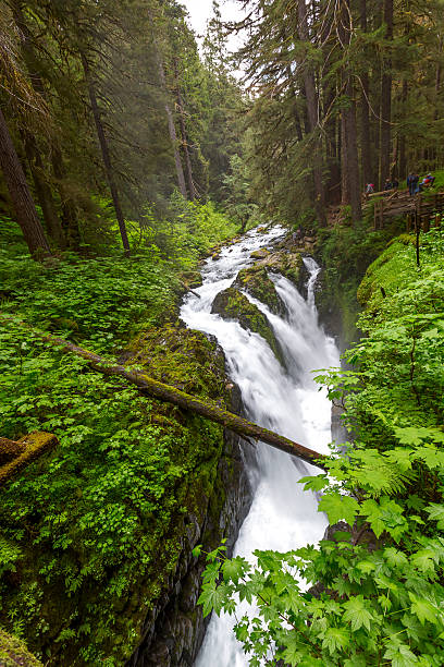 istock Sol Duc Waterfalls in Olympic National Park 501044379