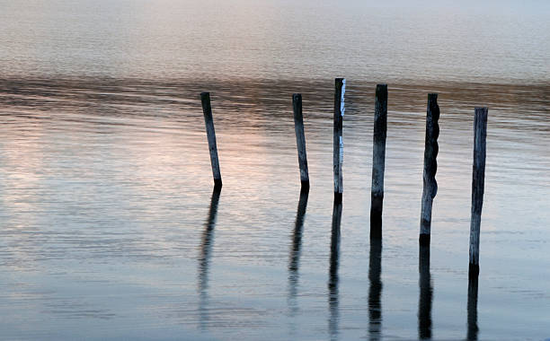 poles in water stock photo