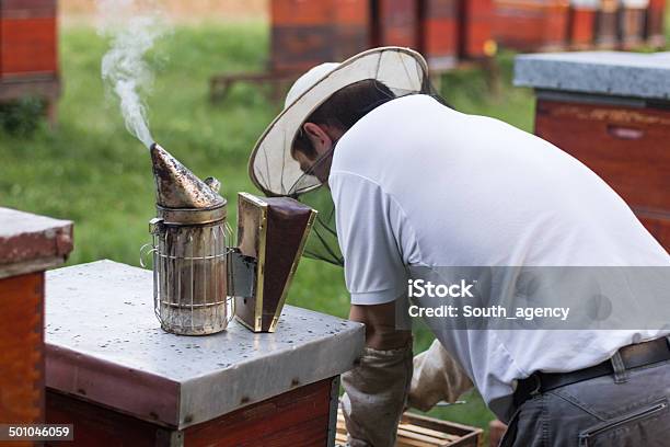 Beekeeper Works At His Apiary Stock Photo - Download Image Now - Adult, Animal, Apiary