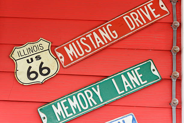 istock The illinois license plate 501046661