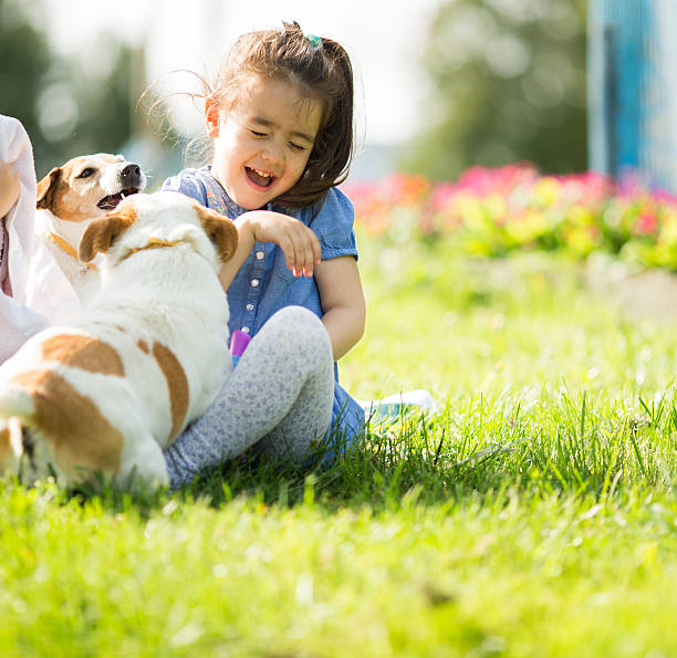 istock Little girl playing with dogs 501046747