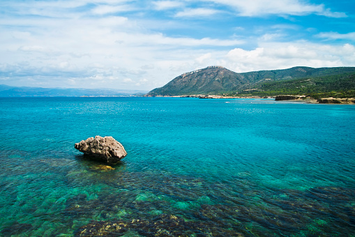 view of corals through transparent water at Akamas peninsula, Cyprus