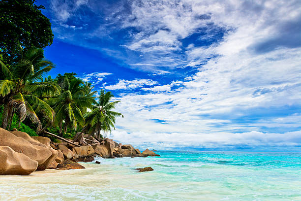 istock Seychelles seascape, Mahe island 501057177