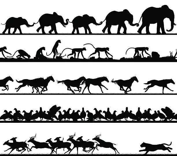Vector illustration of Animal foreground silhouettes