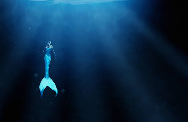 istock Who knows what the ocean depths hold? 501058711