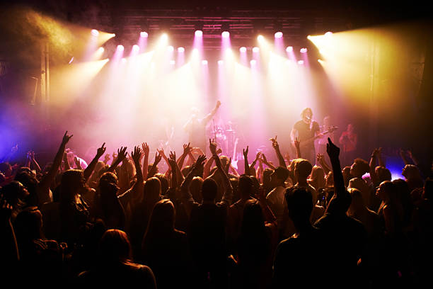 istock Feeling the concert vibe 501058717