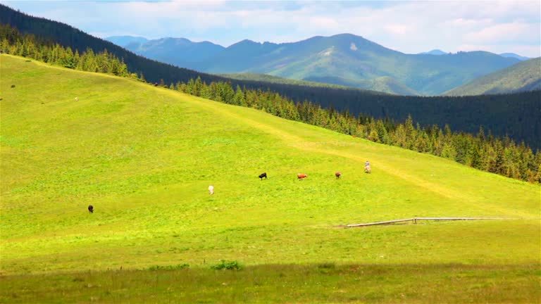 Rider in a Mountain Valley