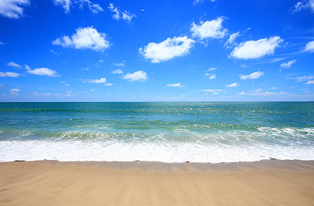 istock beach and tropical sea 501059465