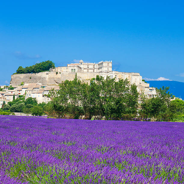 istock lavender field and town of Grignan 501060455