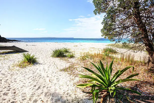Beautiful unspoilt white sandy beach, Greenfields Beach, Jervis Bay, Australia