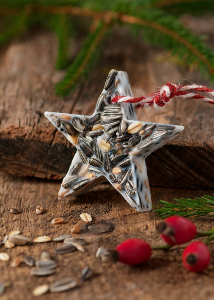 Star shaped wild bird food suet cake. Star shaped wild bird food suet cake. Birdseed Christmas ornament. palmin photos stock pictures, royalty-free photos & images