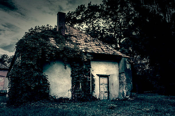 istock Spooky house in fog 501061993