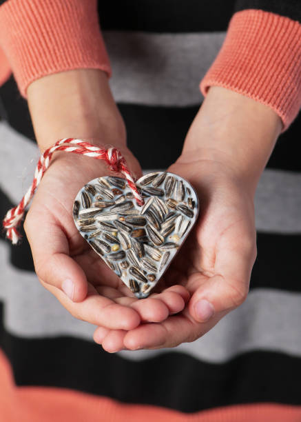 Girl holding a heart shaped homemade birdseed cake. Girl holding a heart shaped homemade little birdseed cake. Help people to animals. bird seed stock pictures, royalty-free photos & images