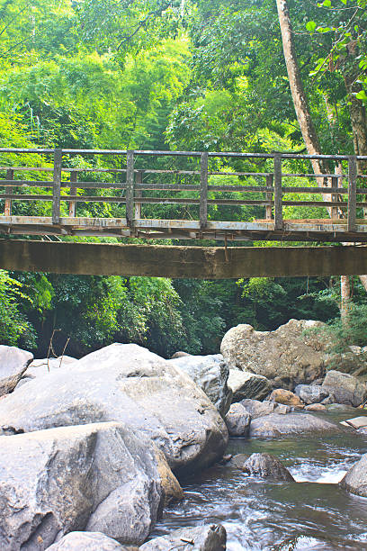istock wooden bridge over the stream 501062487