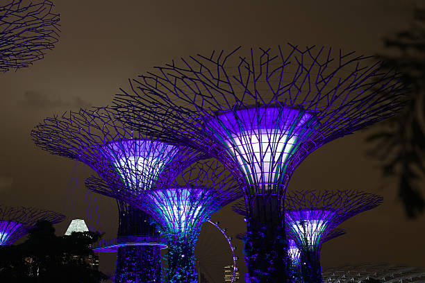 giardini lungo la baia di notte.  singapore. - editorial asia singapore tourist foto e immagini stock