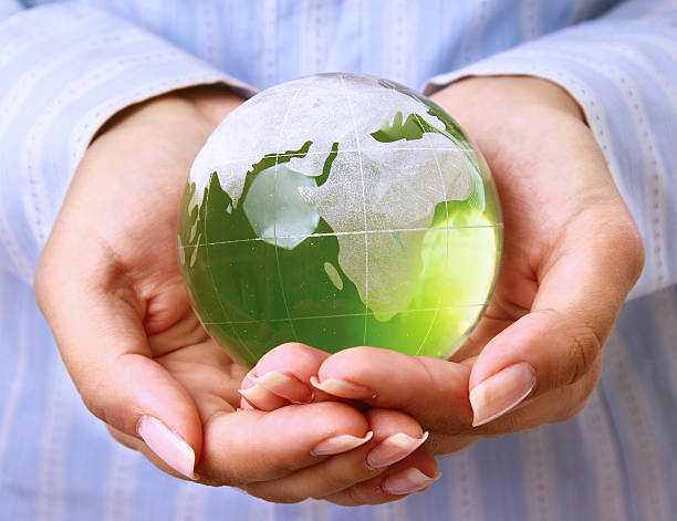 istock Hands holding a green earth, isolated on white background 501063616